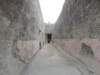 pompeii_005_small.jpg